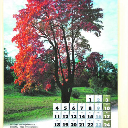 Календарь настенный 12 листов