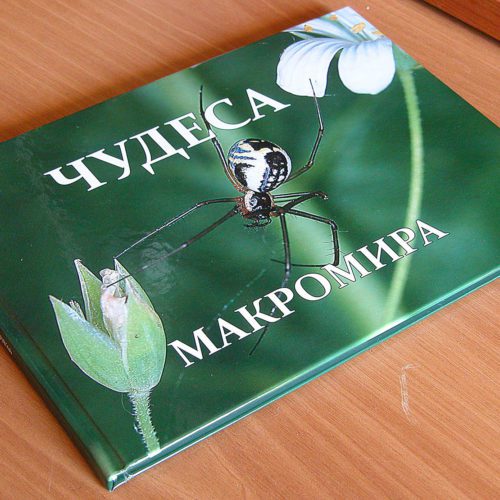 Книга «Чудеса микромира»